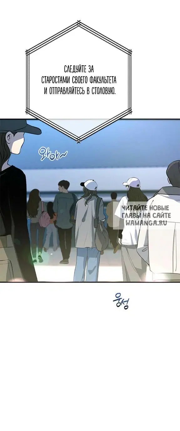 Page 51.000