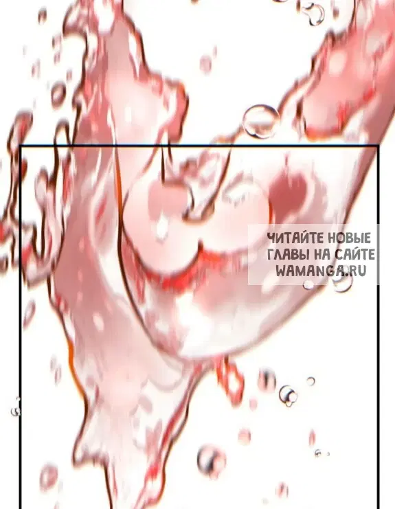Page 81.000