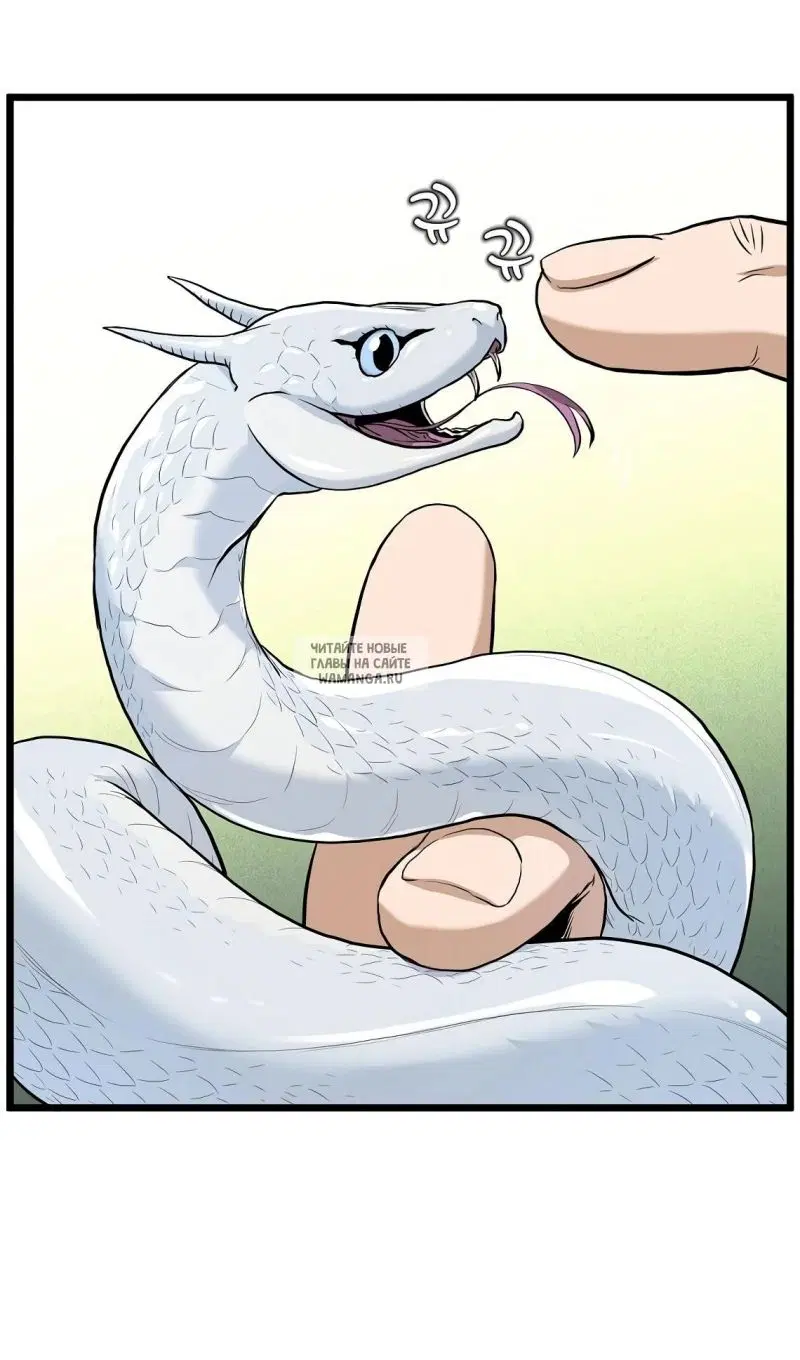 Page 43.000
