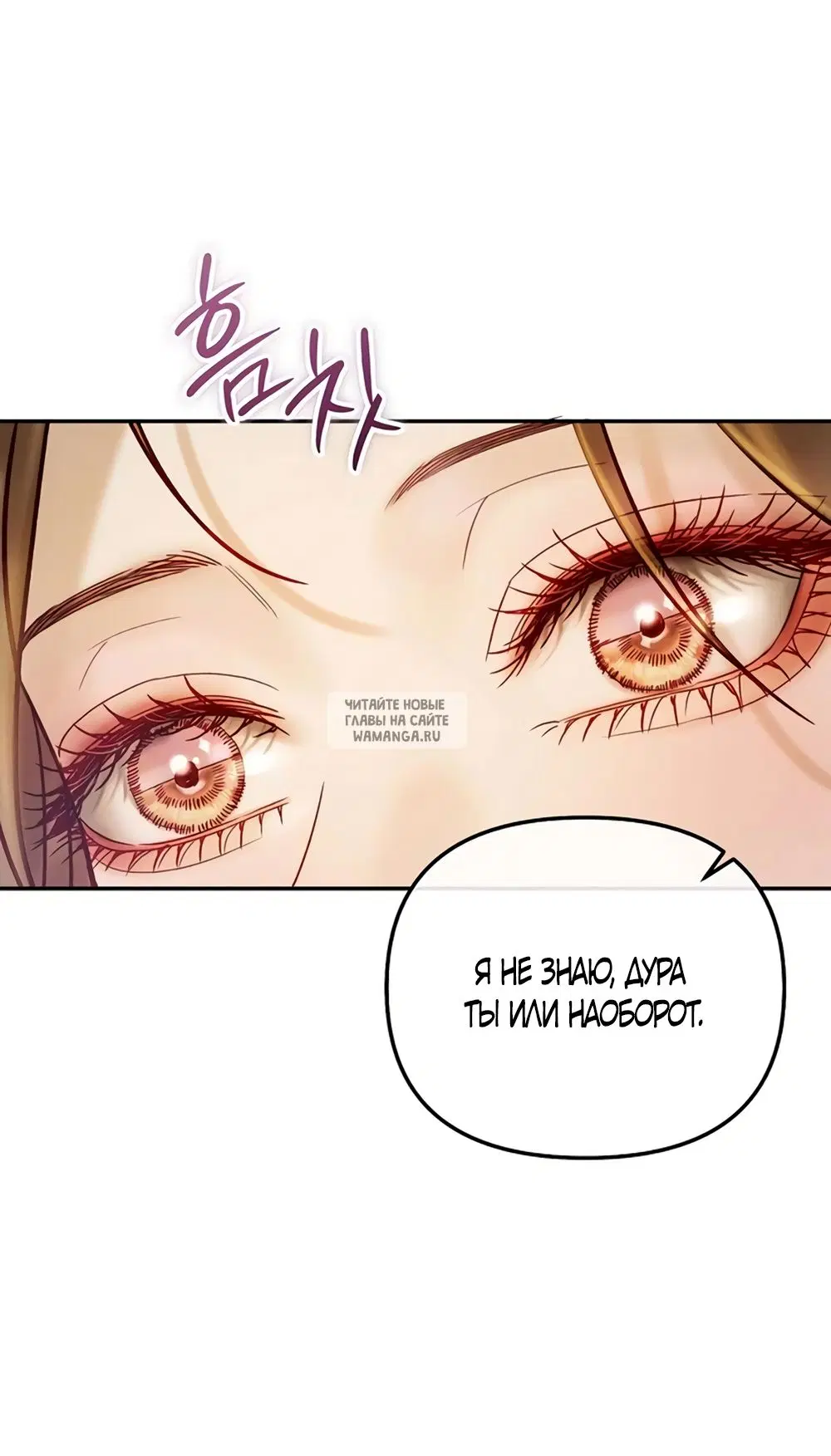 Page 50.000
