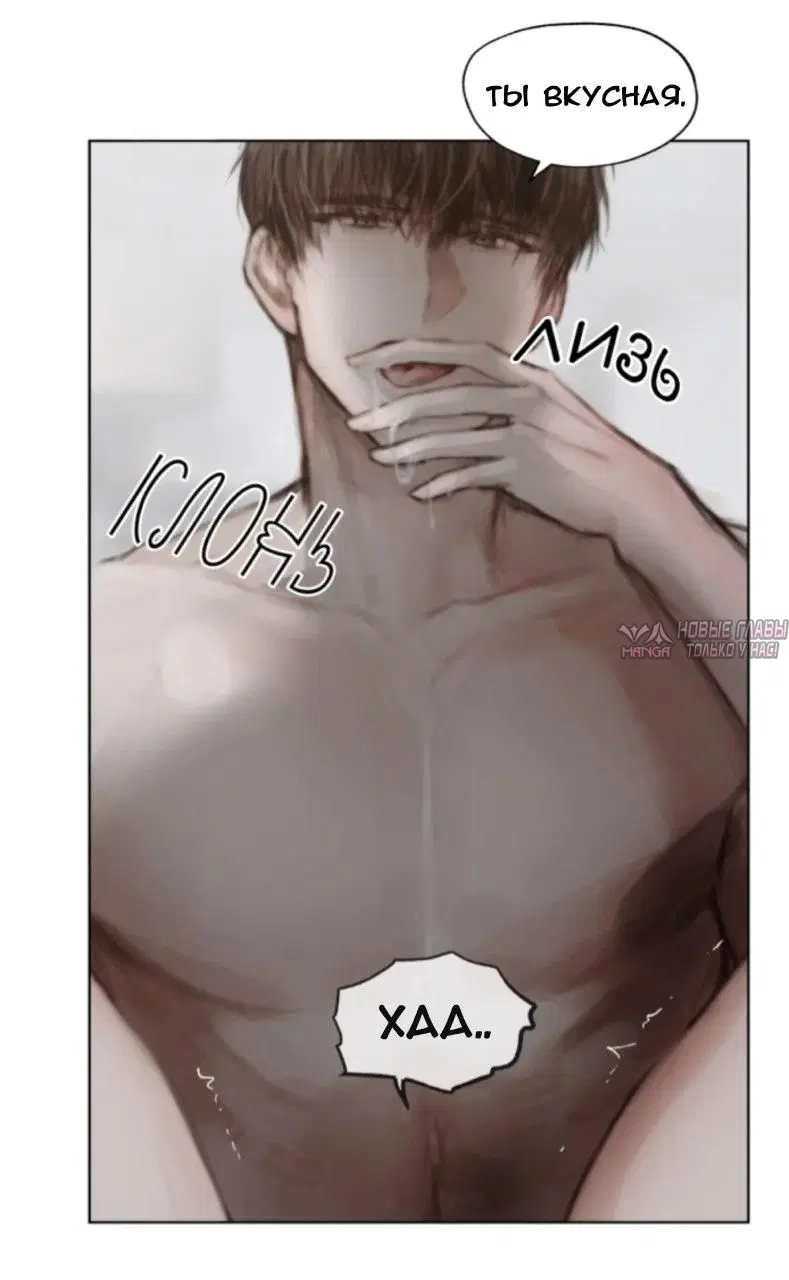 Page 31.000