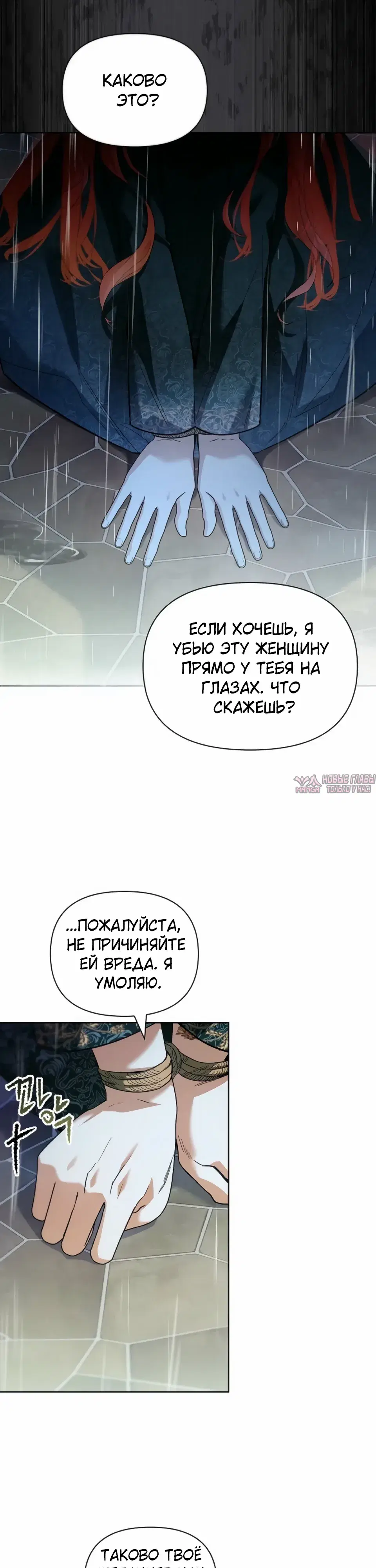 «О совершенной мести», глава 3, страница 27.000000000