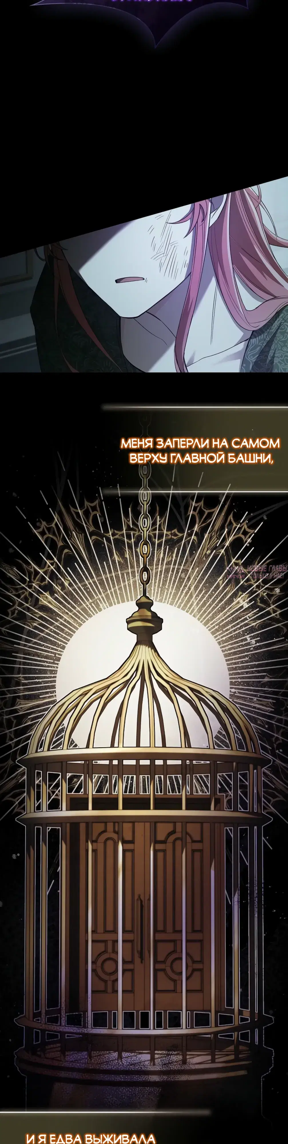 «О совершенной мести», глава 2, страница 35.000000000