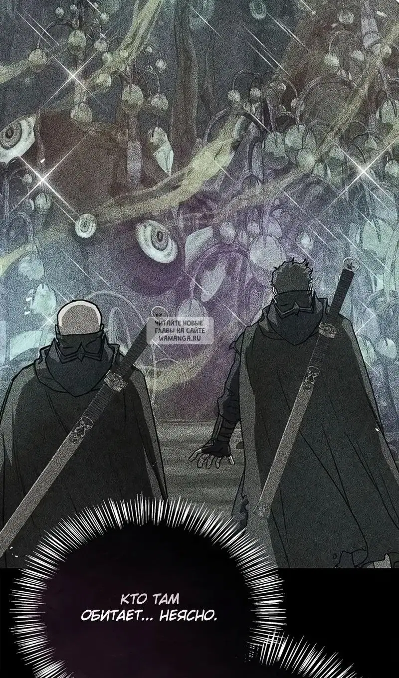 Page 81.000