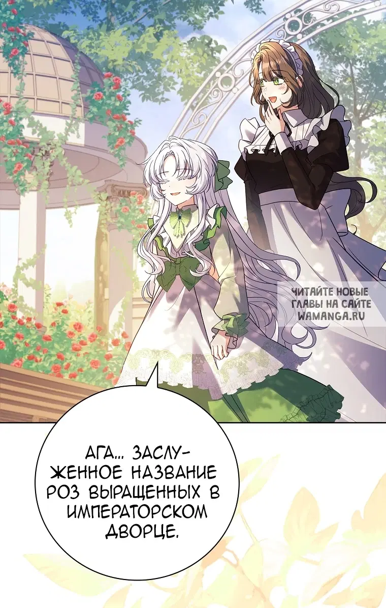 Page 36.000