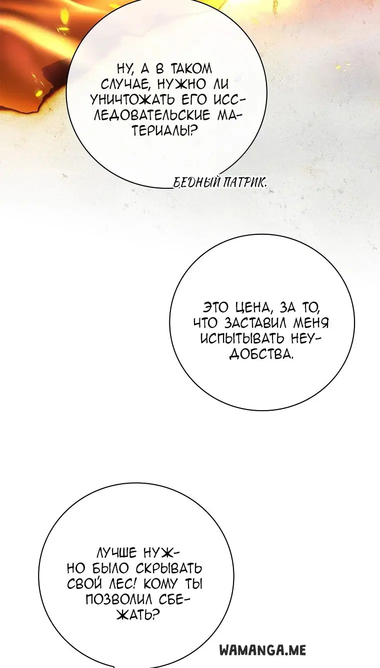 Page 31.000
