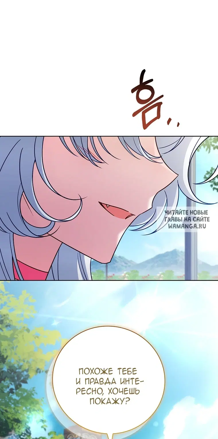 Page 41.000
