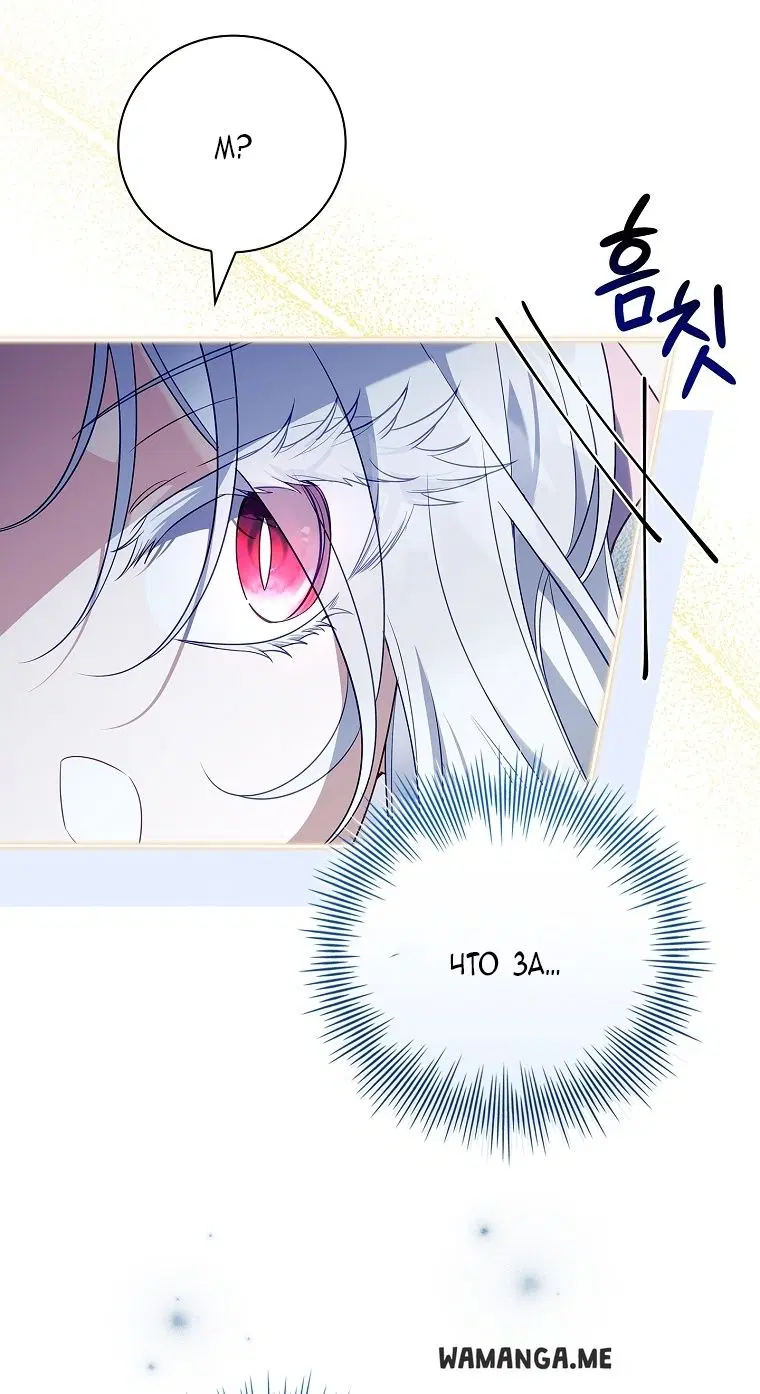 Page 41.000