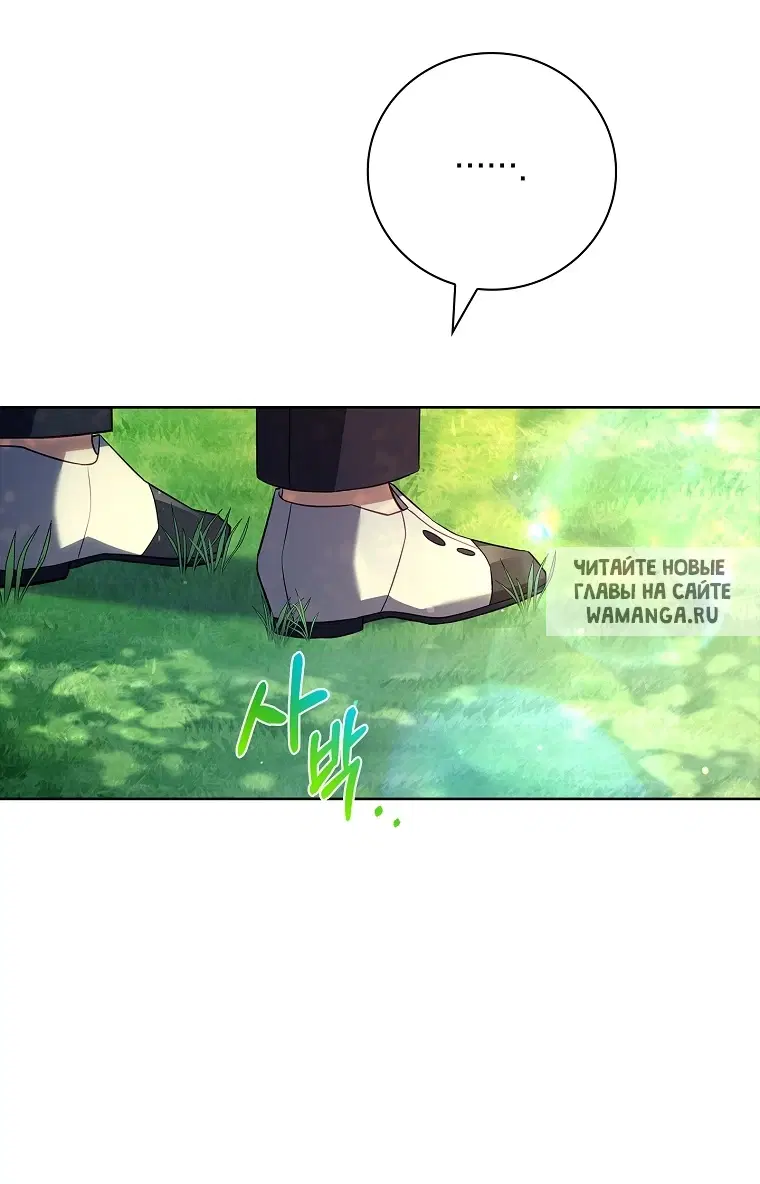 Page 51.000