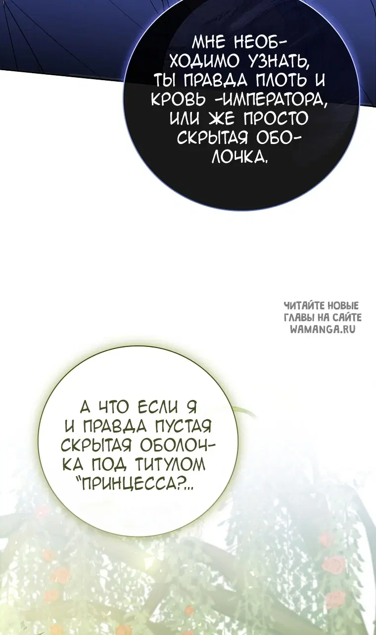 Page 80.000