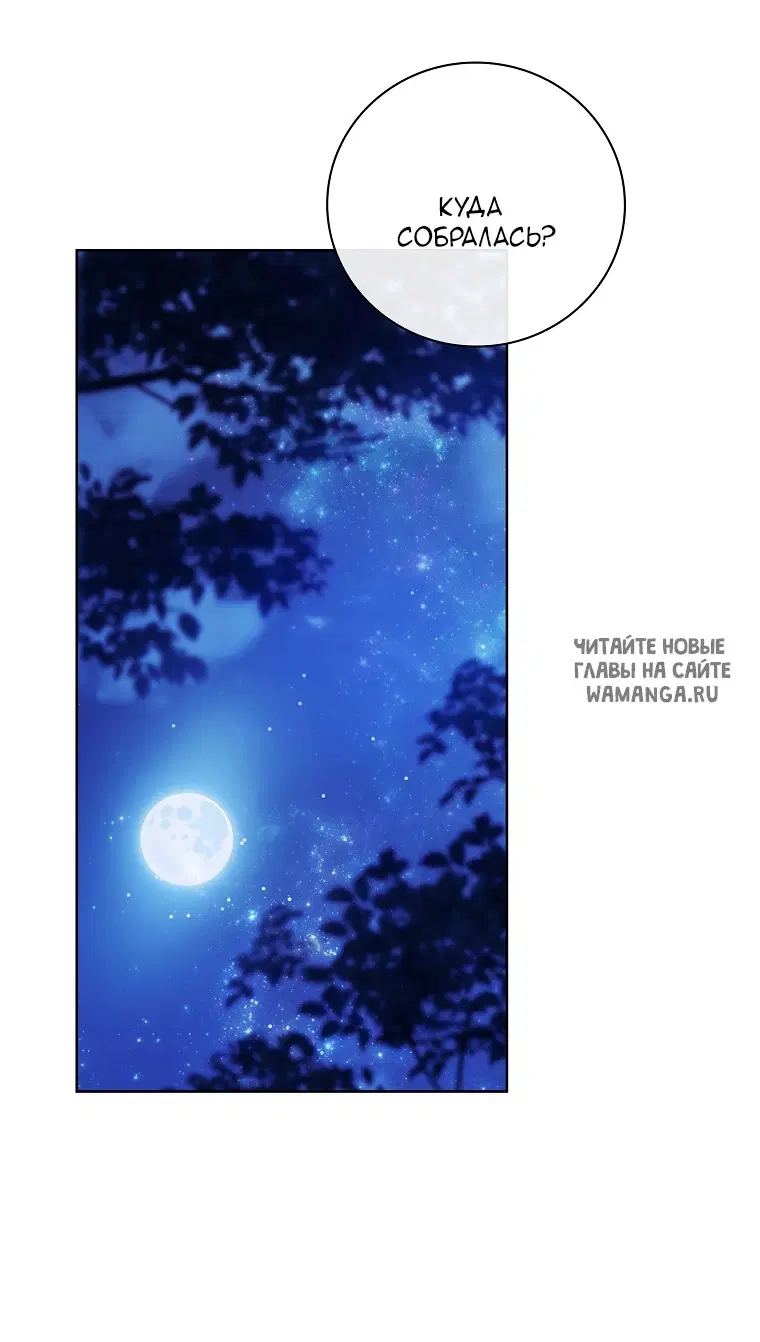 Page 81.000