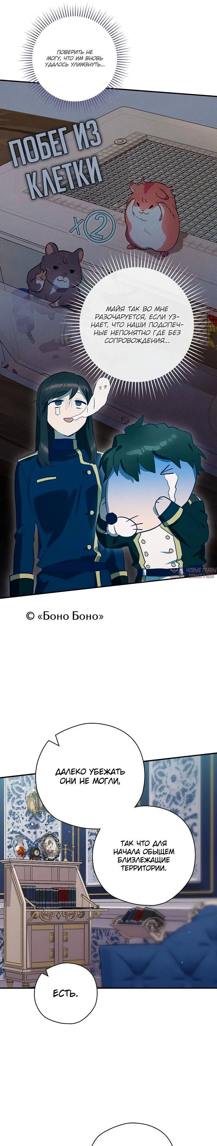 Page 27.000