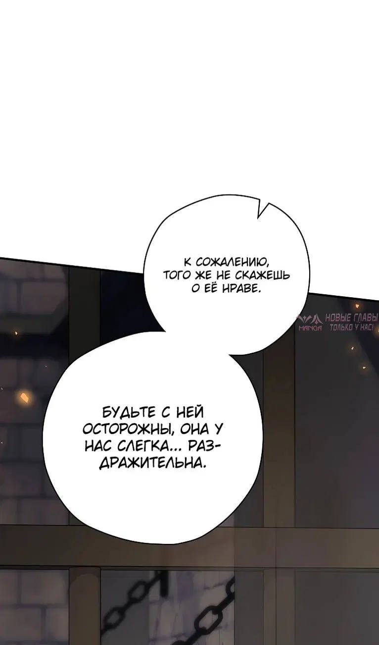 Page 102.000
