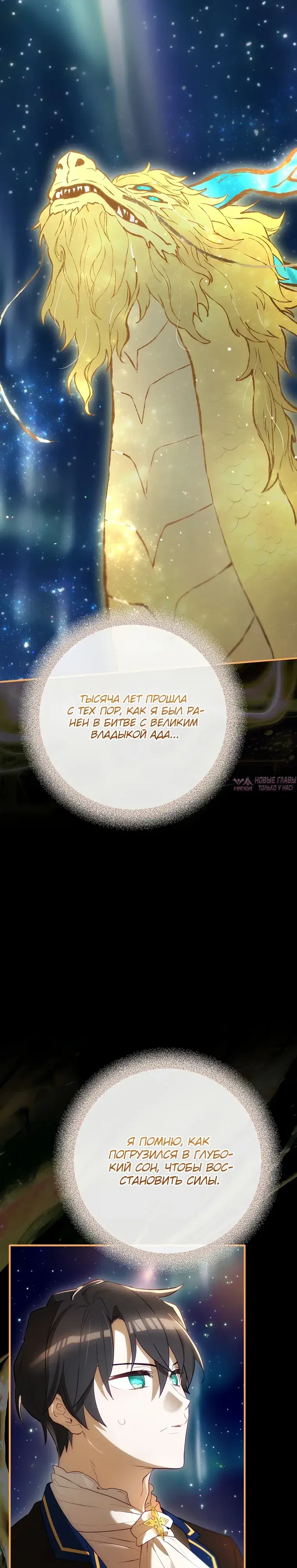 «Создатель концовки», глава 78, страница 29.000000000