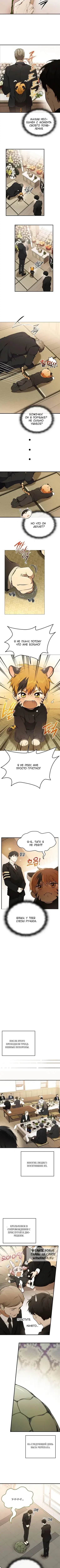 Page 5.000