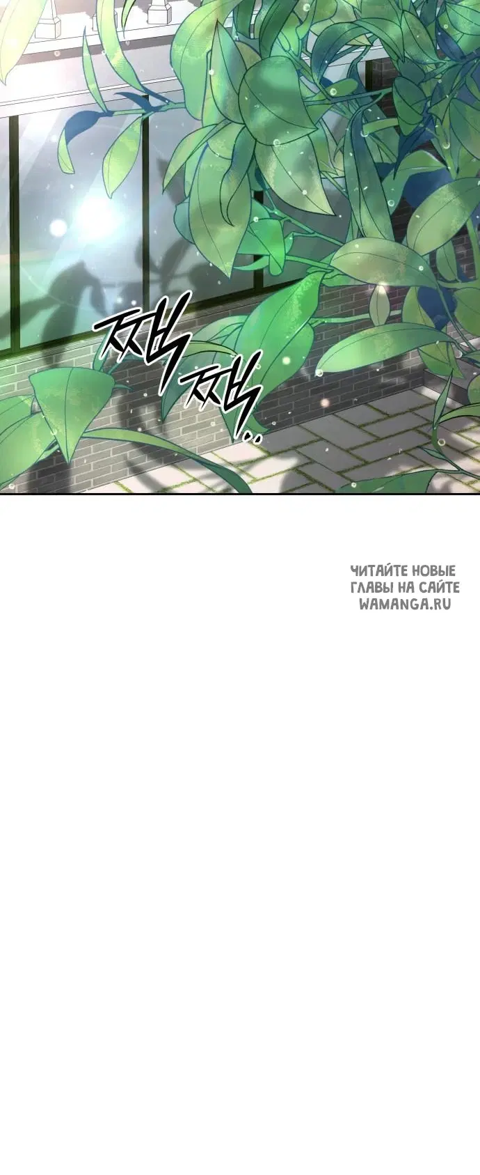 Page 81.000
