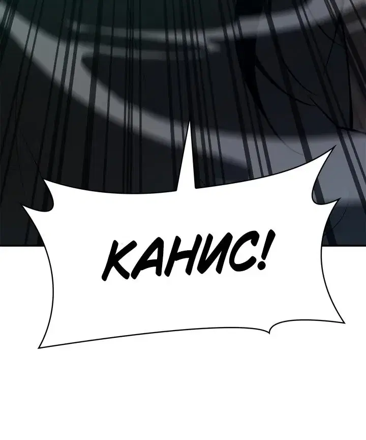 Page 11.001