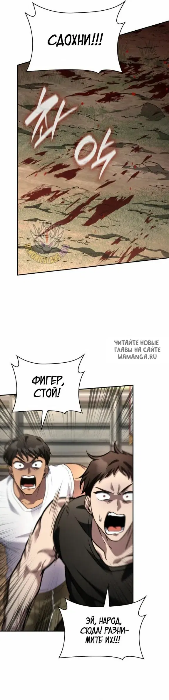 Page 41.000