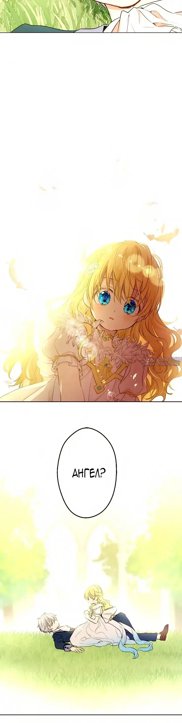 Page 6.001000000