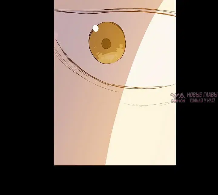 Page 3.001000000