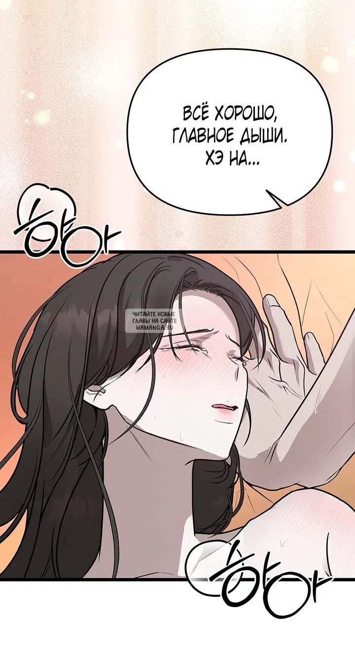 Page 42.000