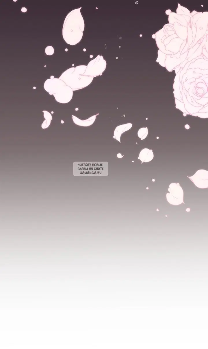 Page 51.000