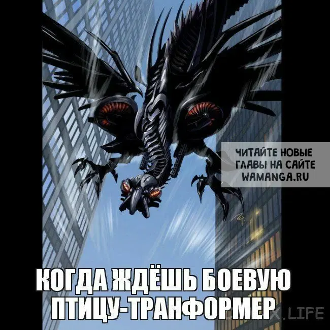 Page 25.000