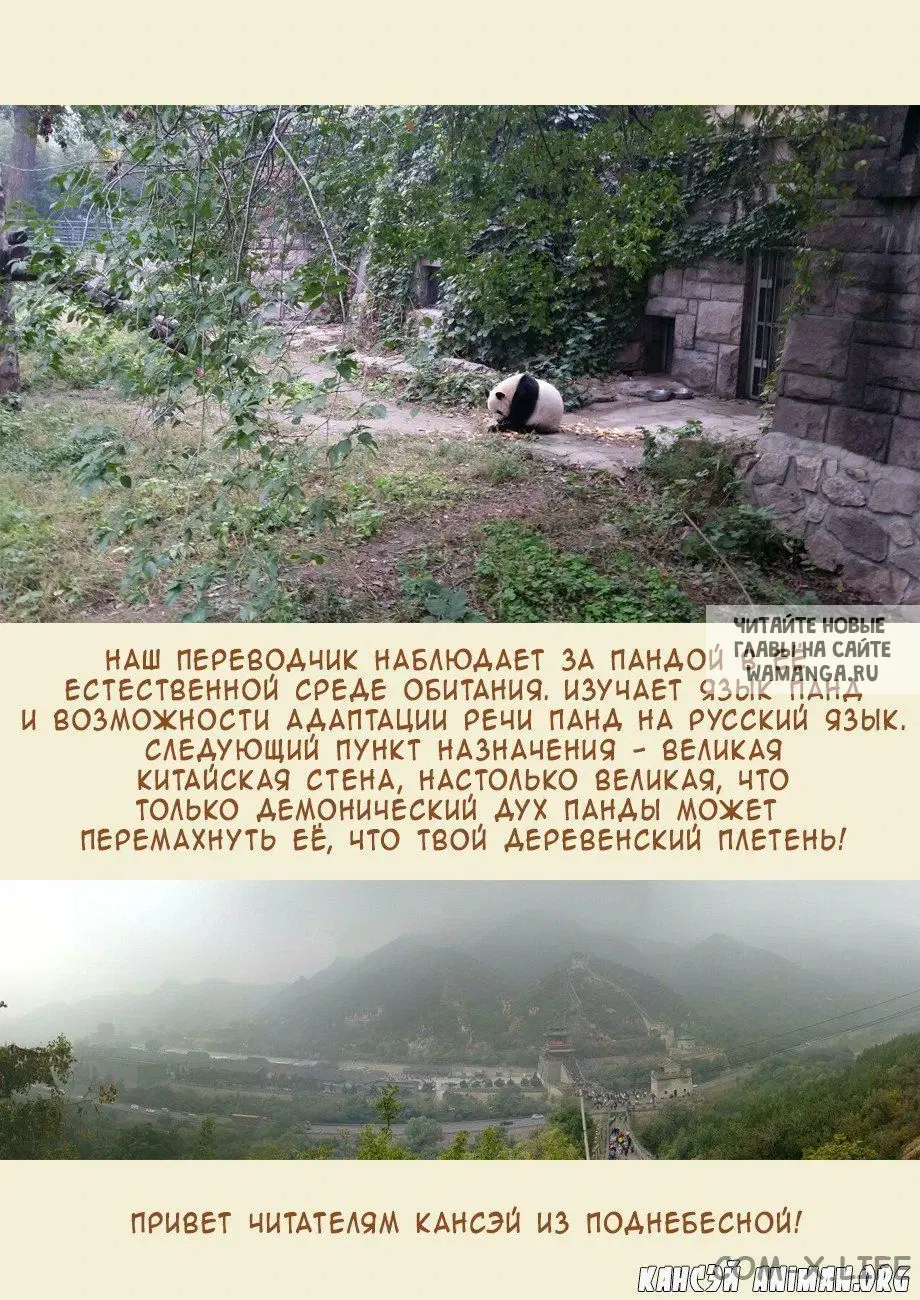 Page 20.000