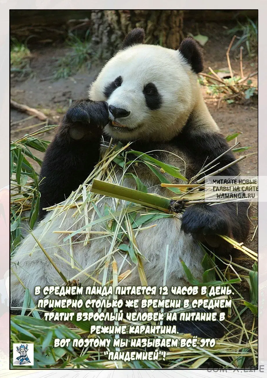 Page 21.000