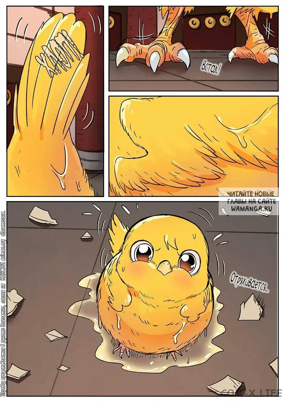 Page 6.000