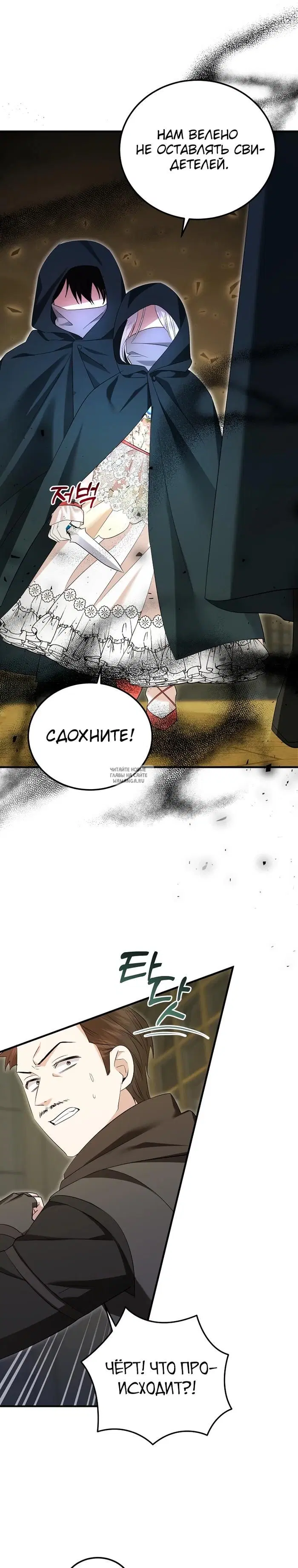 Page 31.000