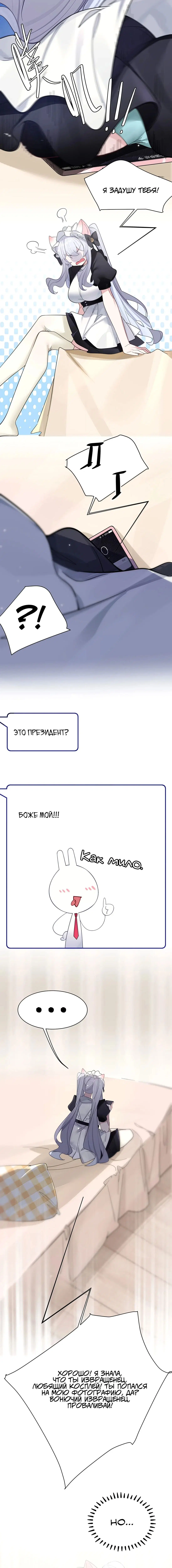 Page 3.003