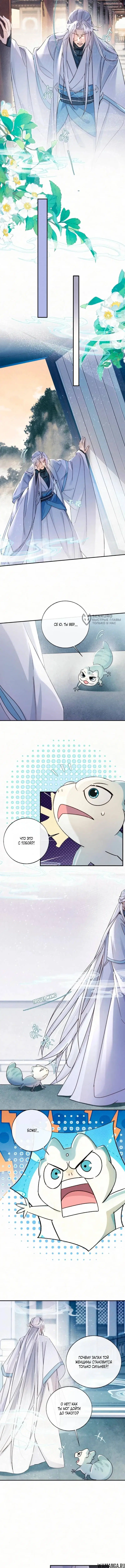 Page 3.000