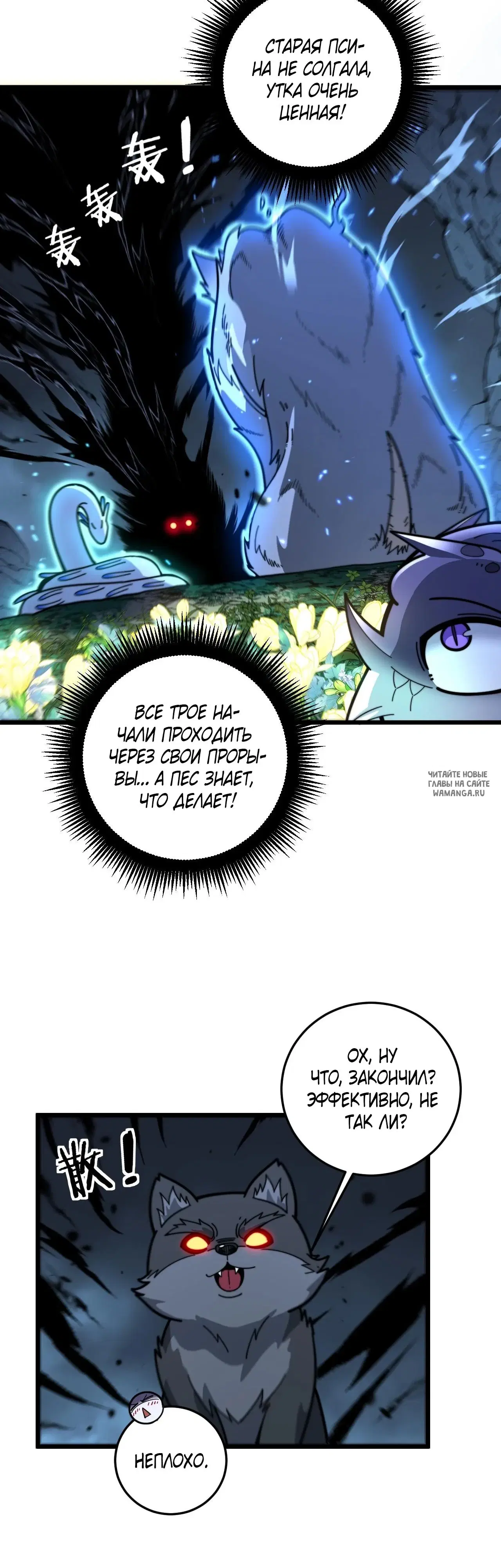 Page 14.000