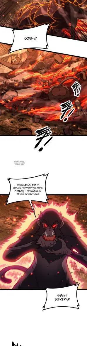 Page 24.000
