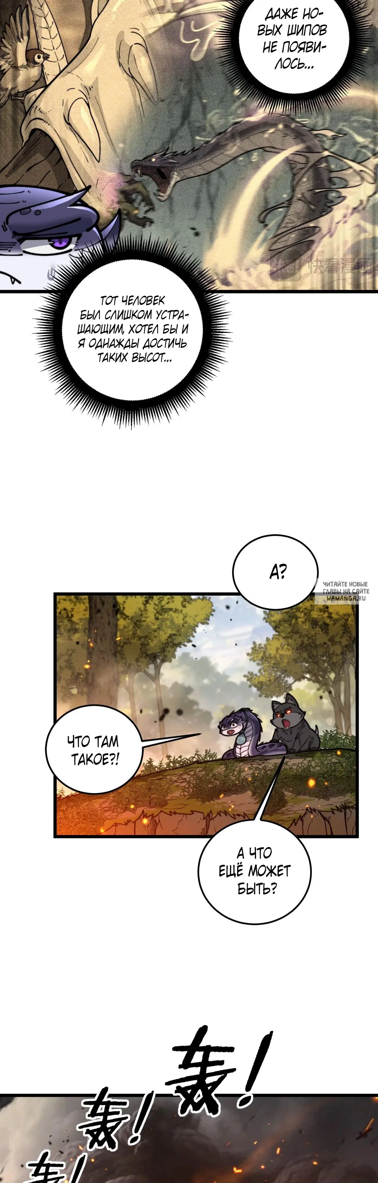Page 31.000