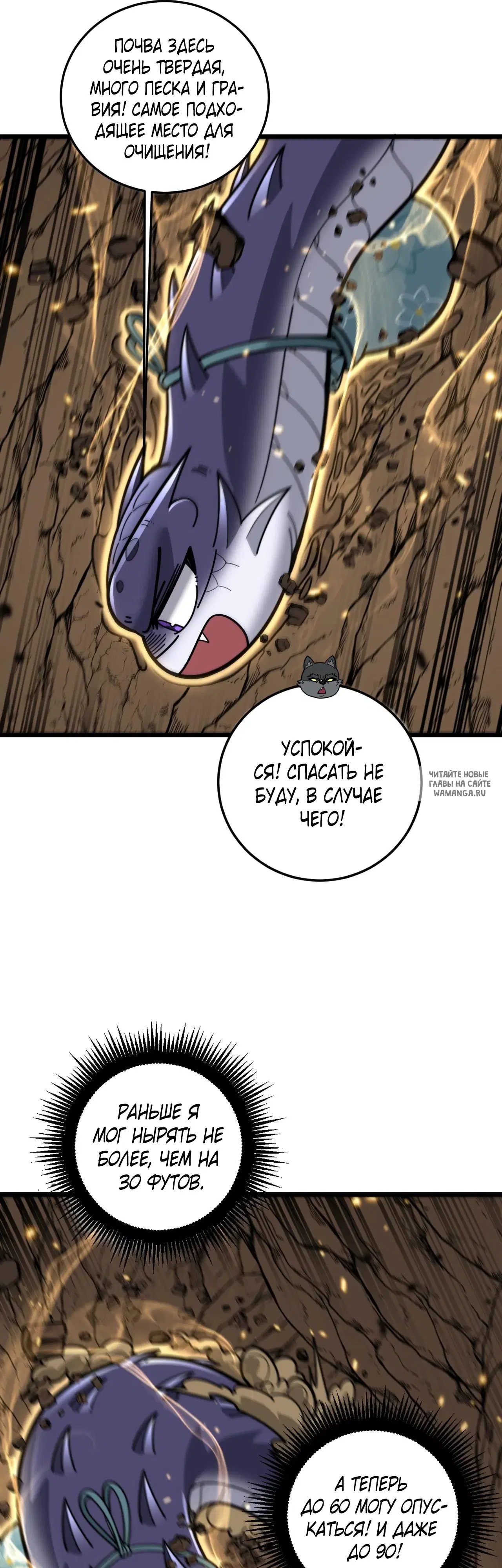 Page 31.000