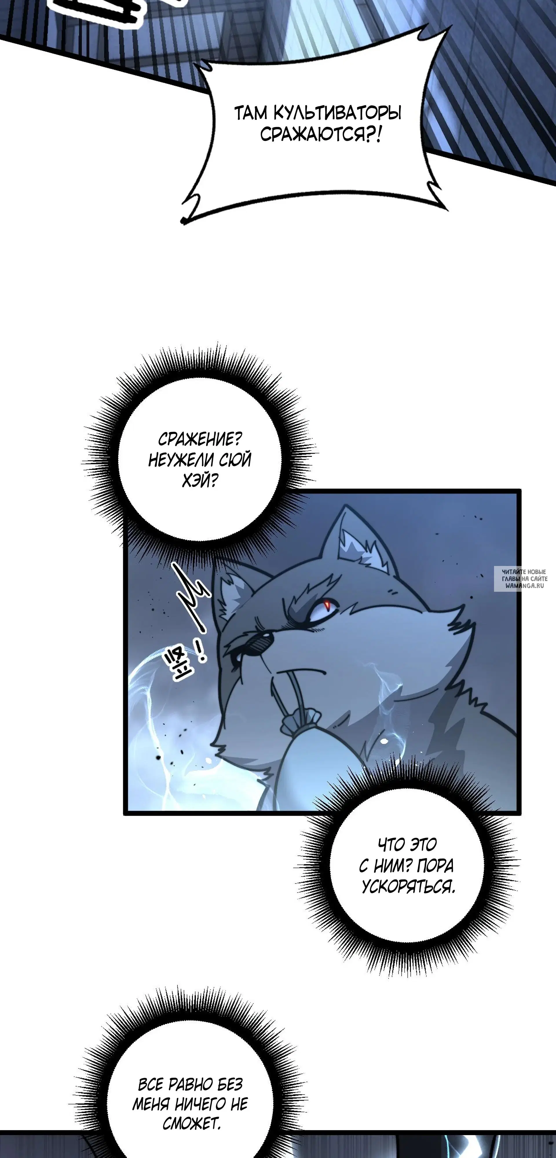 Page 50.000