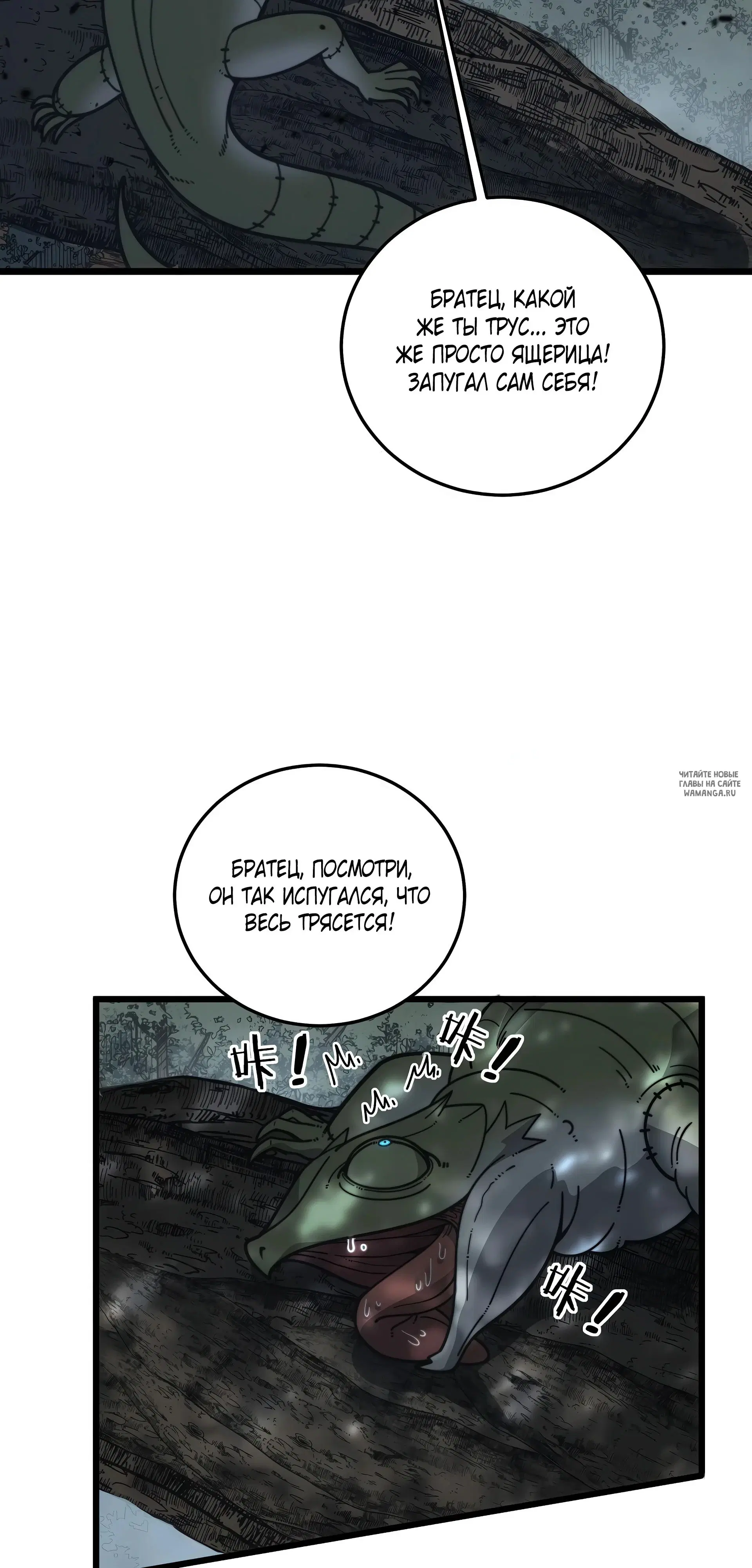Page 50.000