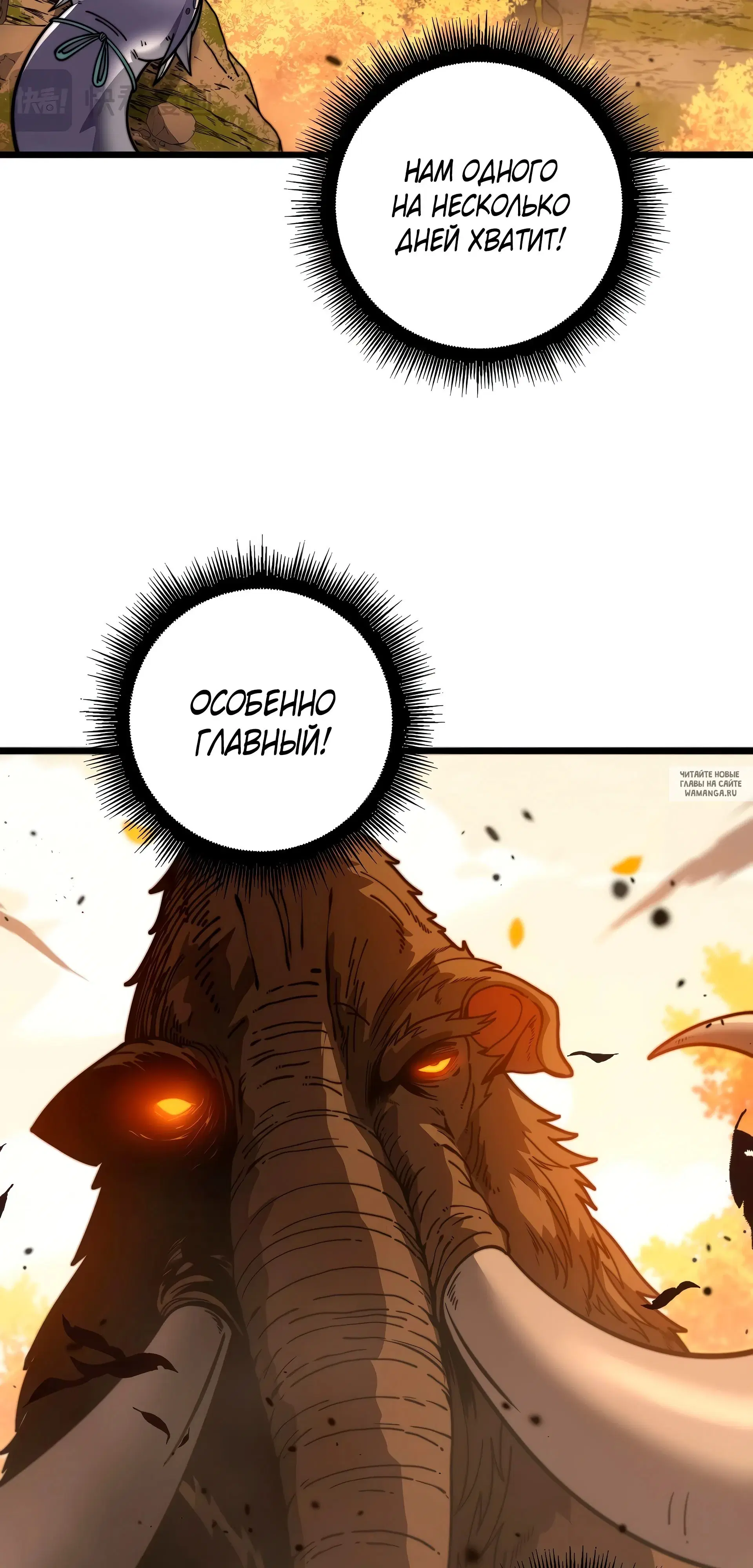 Page 51.000