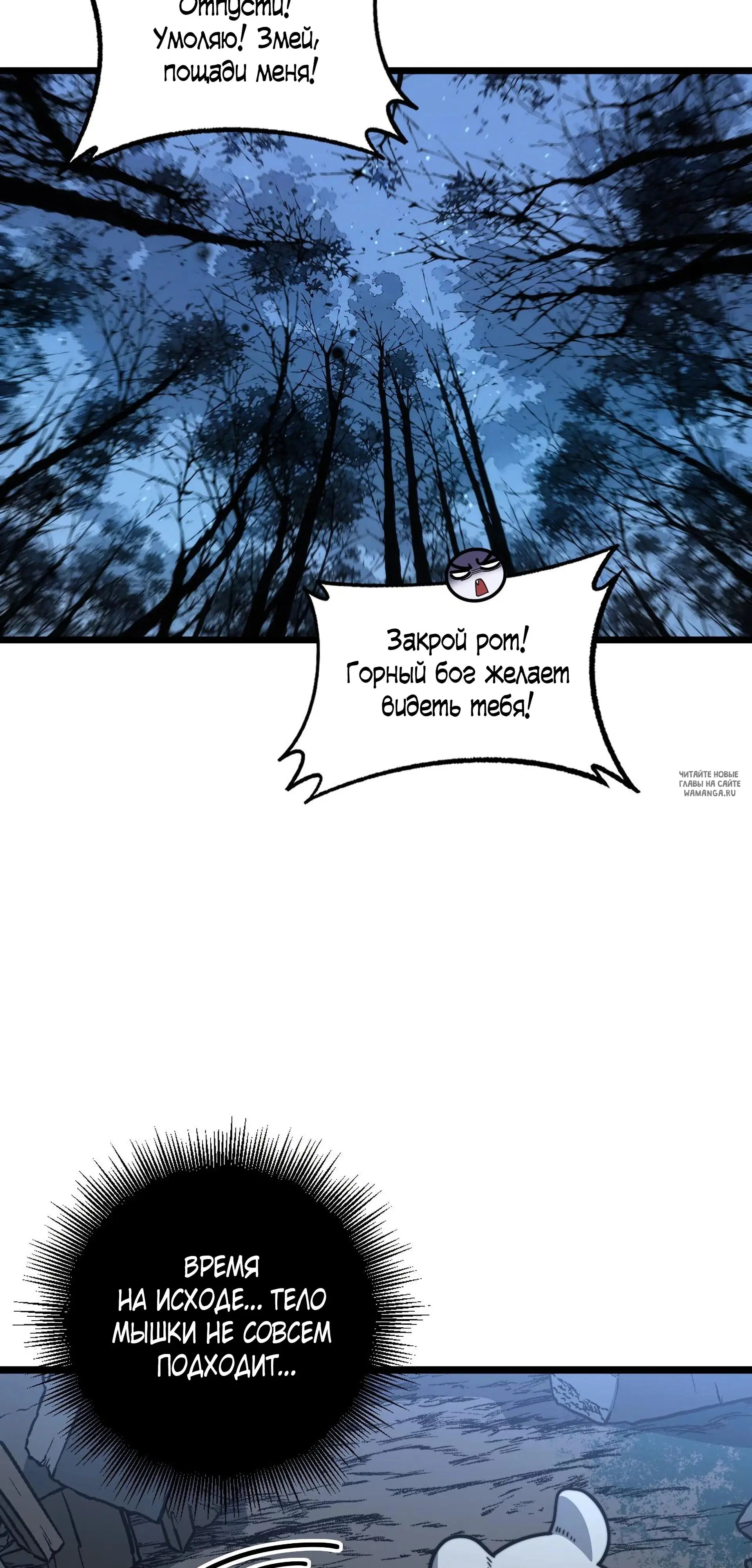 Page 53.000
