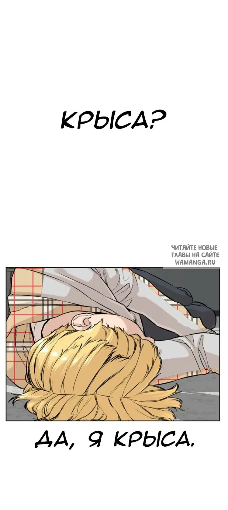 Page 25.000