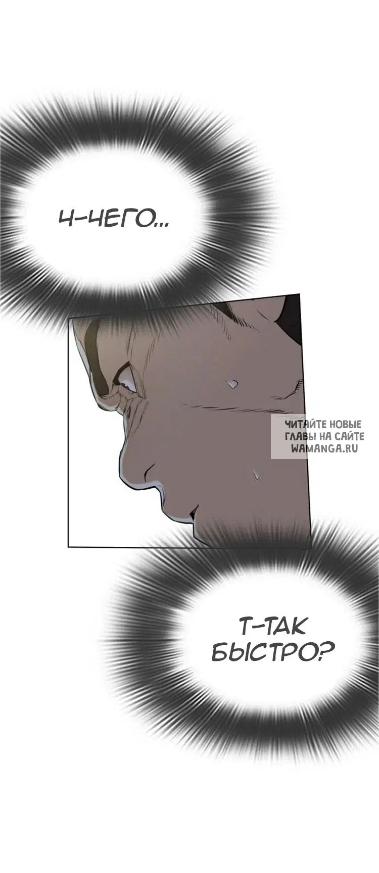 Page 36.000