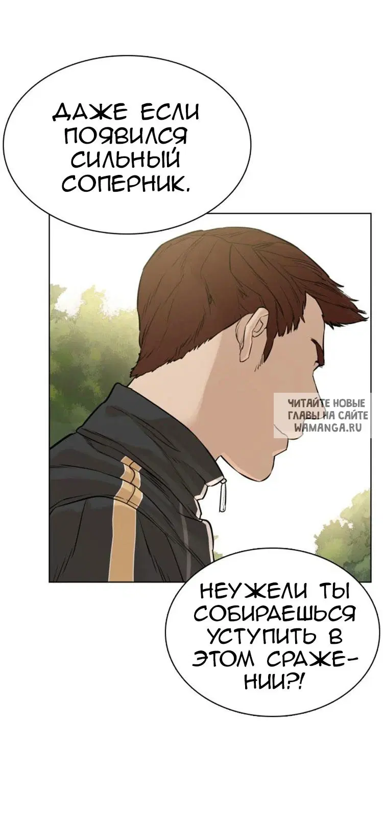 Page 38.000