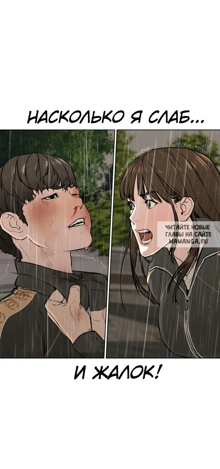 Page 31.000