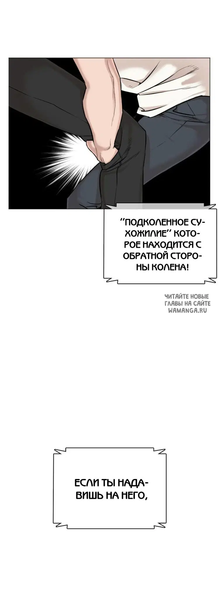 Page 46.000