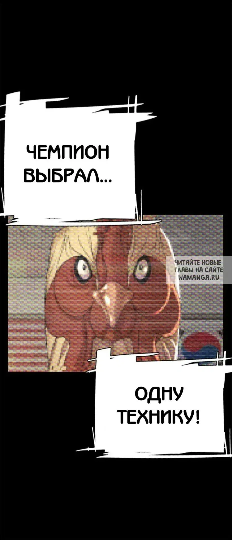 Page 48.000