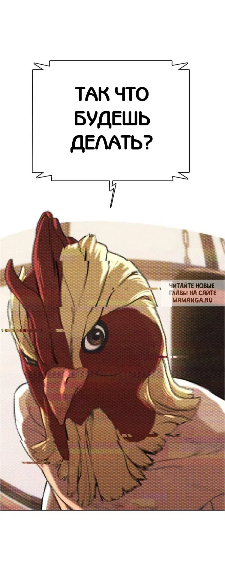 Page 55.000