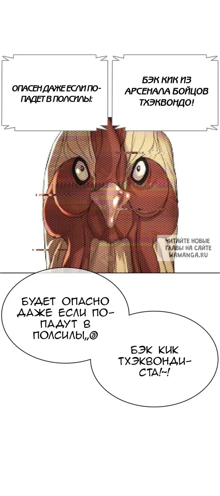 Page 51.000