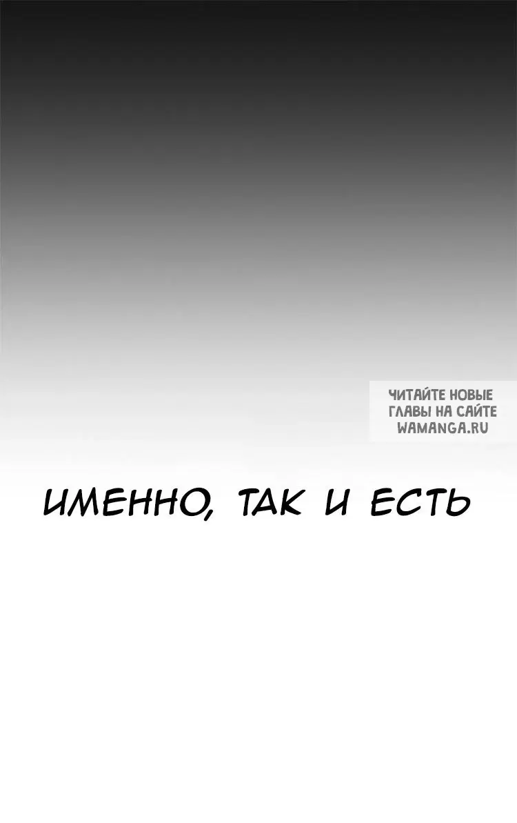 Page 53.000